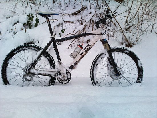 Winter20102
