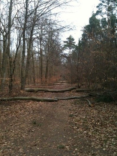 trails