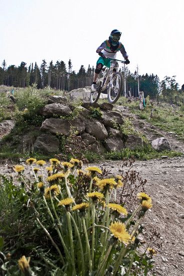 DH // Roadgap