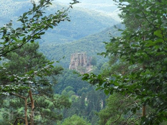 20100831 12589 fleckenstein.jpg 800x600