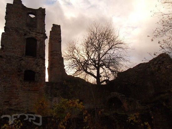 20101113 12870 madenburg.jpg 800x600