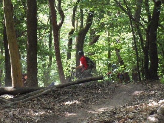 20110515 bza 829.jpg 800x600