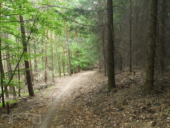 20110515 bza 851.jpg 800x600