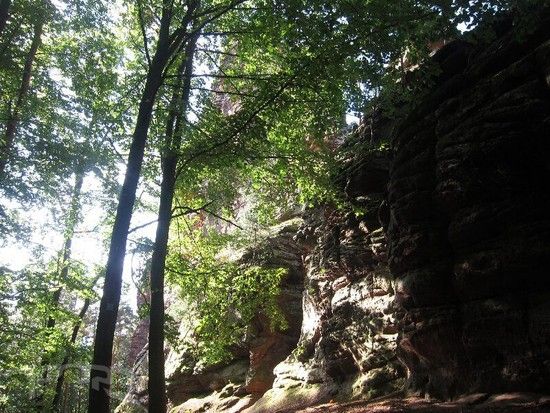 20111009 bundth 786.jpg 800x600