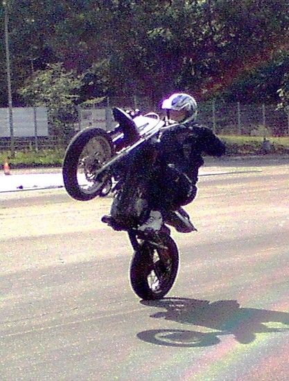 Wheelie-Einlage
