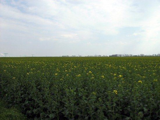 Flachlandtour um Merseburg
