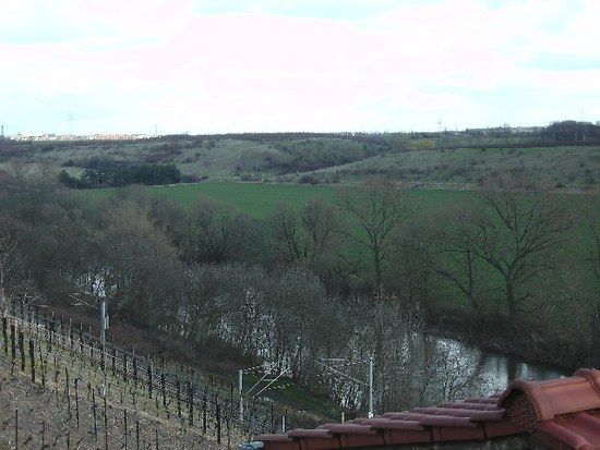 Saaletal bei Burgwerben 19_03_08