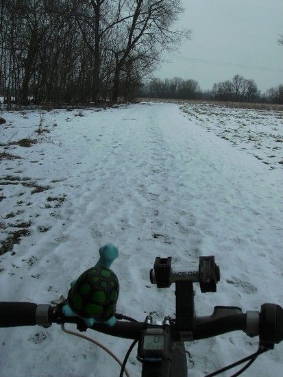 Saaleradweg bei Großkorbetha