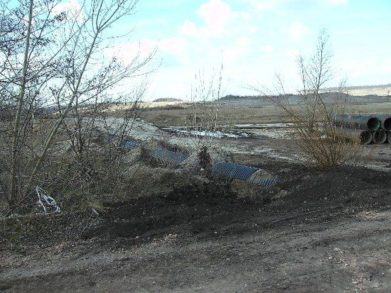 Geiseltalseetour 04_03_08