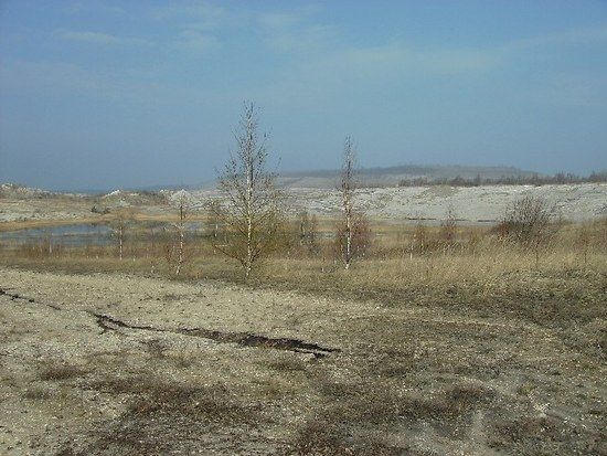 Geiseltalseedurchfahrung 01_04_08