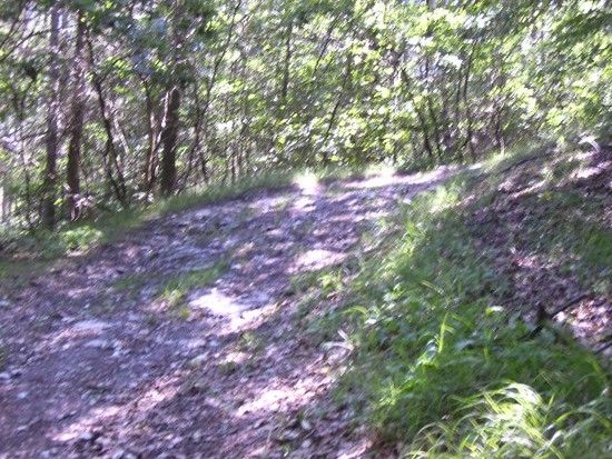 Karstwanderweg
