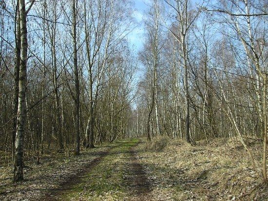 Geiseltalseerunde 27_03_04