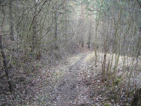 MER-FINNEWANDERWEG 28_03_08