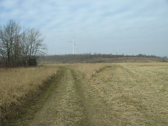 Tour Tagebau STEDTEN 07_03_08
