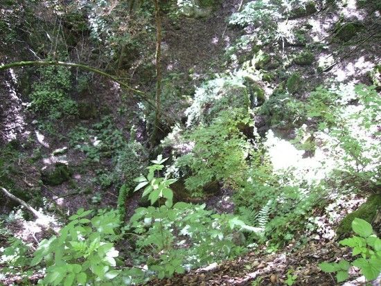 Karstwanderweg