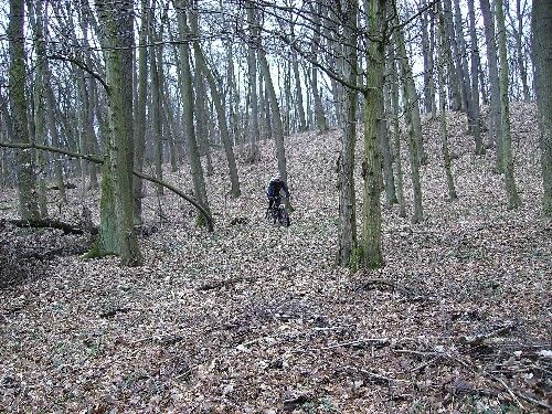 Goseck-Freyburg-Südfeldsee 19_01_08