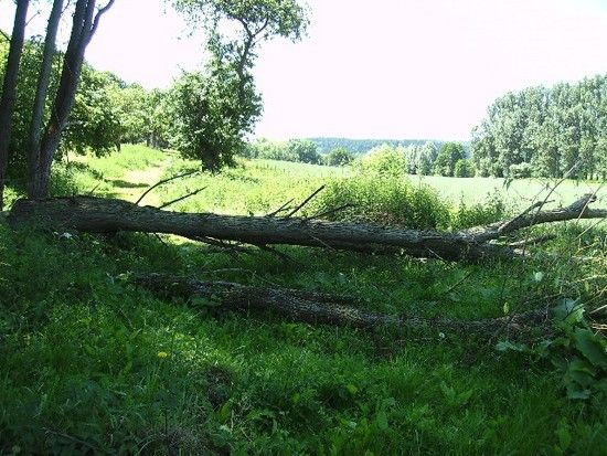 Karstwanderweg
