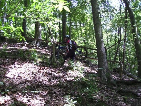 Karstwanderweg