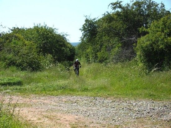 Karstwanderweg