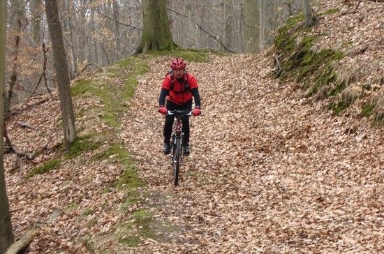 Märzenbechertal