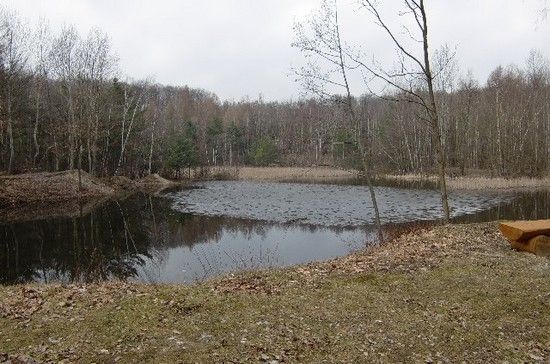 Märzenbechertal