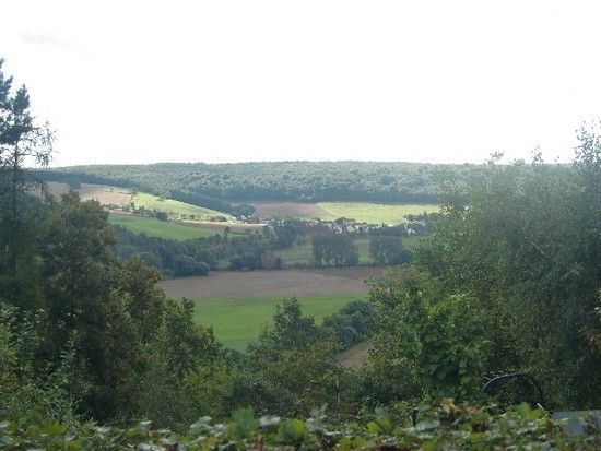 CIMG3308Luckenau-Crossen