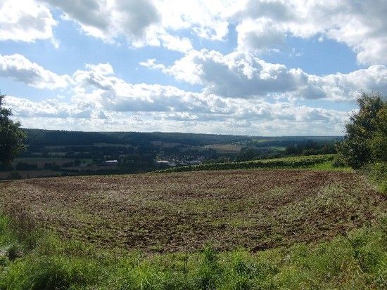 CIMG3309Luckenau-Crossen