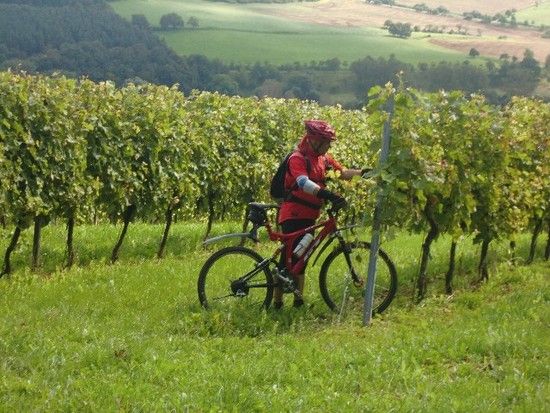CIMG3315Luckenau-Crossen