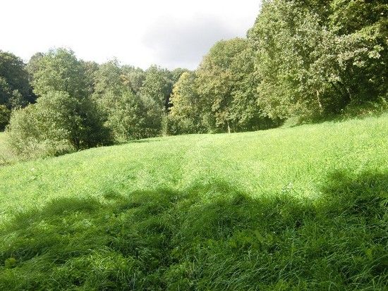 Luckenau-CrossenCIMG3321