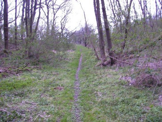 Finnewanderweg19 04 08BILD0008