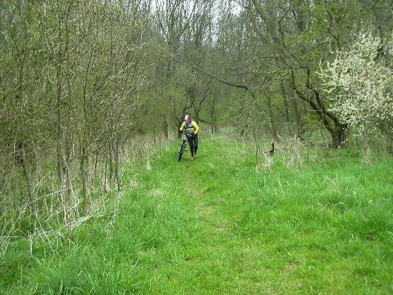 Finnewanderweg19 04 08BILD0009