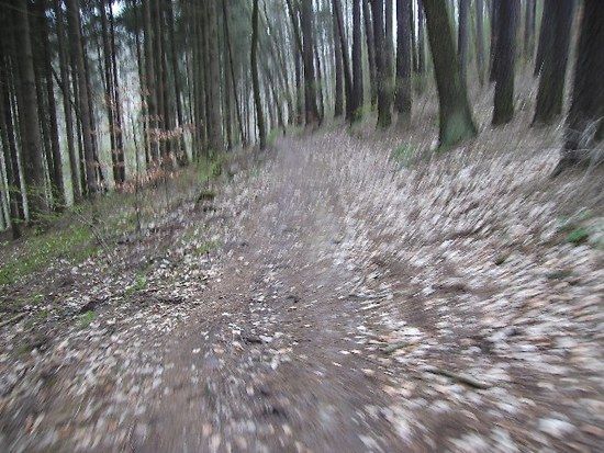 Finnewanderweg19 04 08BILD0011