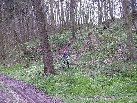Finnewanderweg19 04 08BILD0014