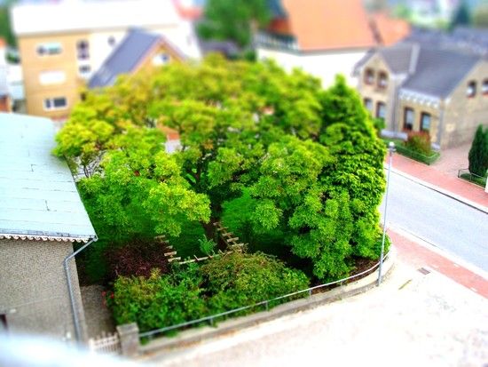 DSCI0552-tiltshift8