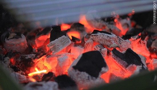 grillen filmgruppe 2