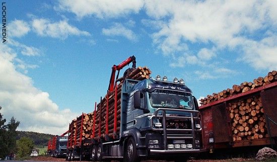woodtruck4