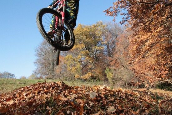 whipit