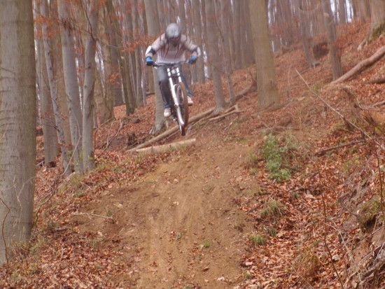 DownhillinDelligsen