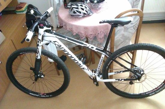 Flash 29er-1