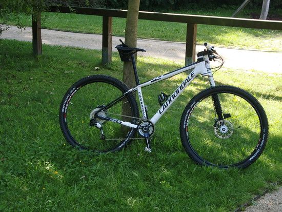 Flash 29er 3-3