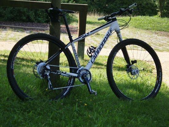 Flash 29er 3 - 2