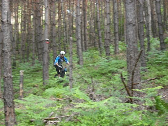 trail?