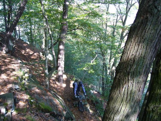 Endurotour rund um den Kalmit