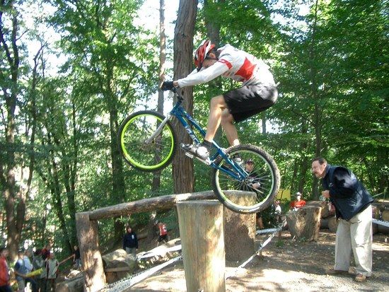 Trial