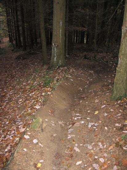 IMG 3217copy