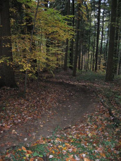 IMG 3224copy