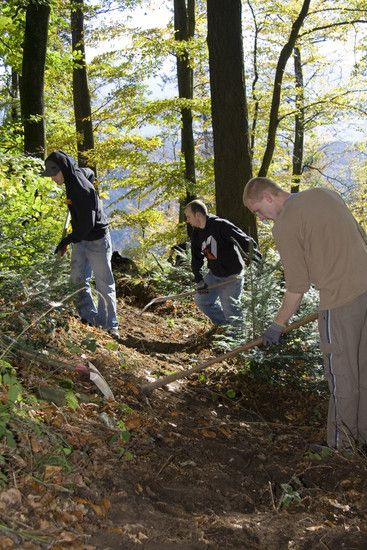 bauen3
