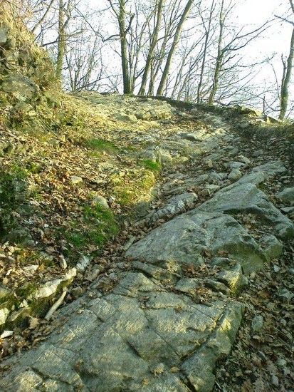Secret Home Trail1