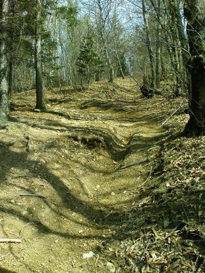 Secret Home Trail2
