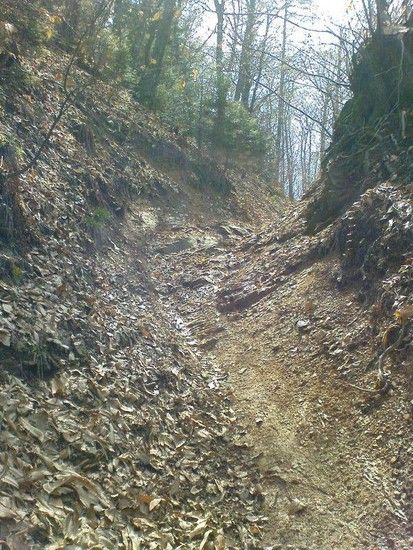 Secret Home Trail3